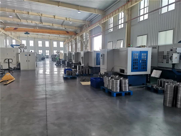 縣委常委、組織部長(zhǎng)安濤到博盈軸承參觀考察